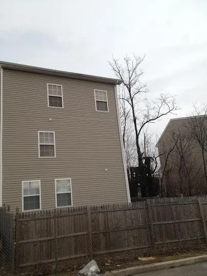 Slide of Louis Mackay