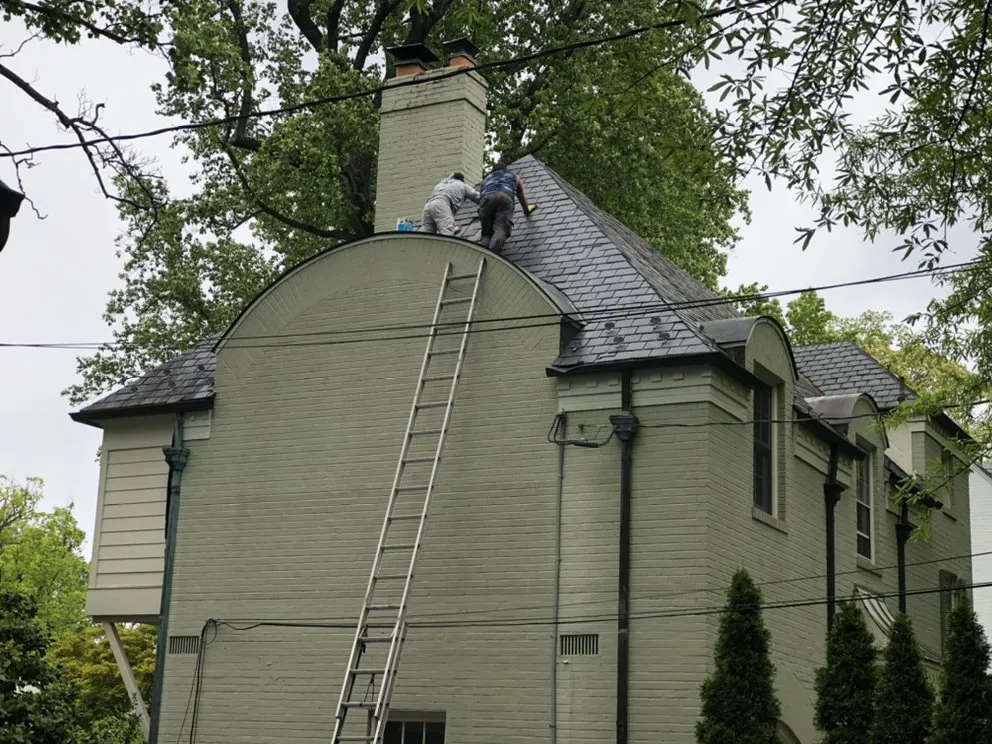 Slide of Louise August