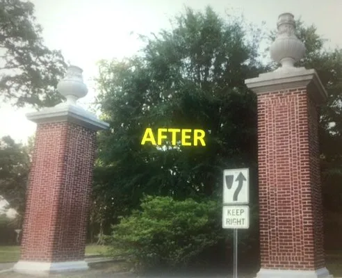 Louisiana Supreme Softwash Logo