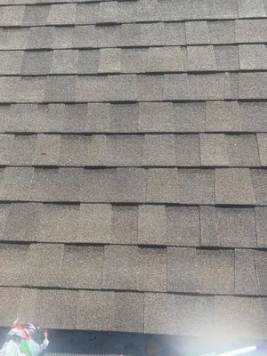 Love All Restoration Logo