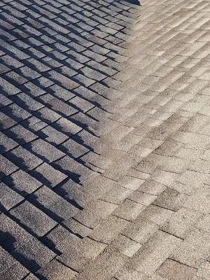 Love It Leave It Construction