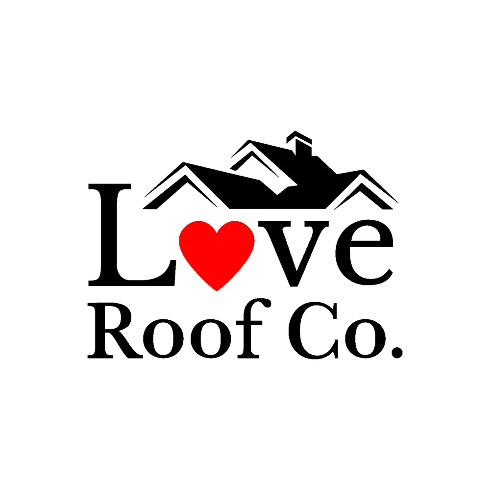 Slide of Love Roof