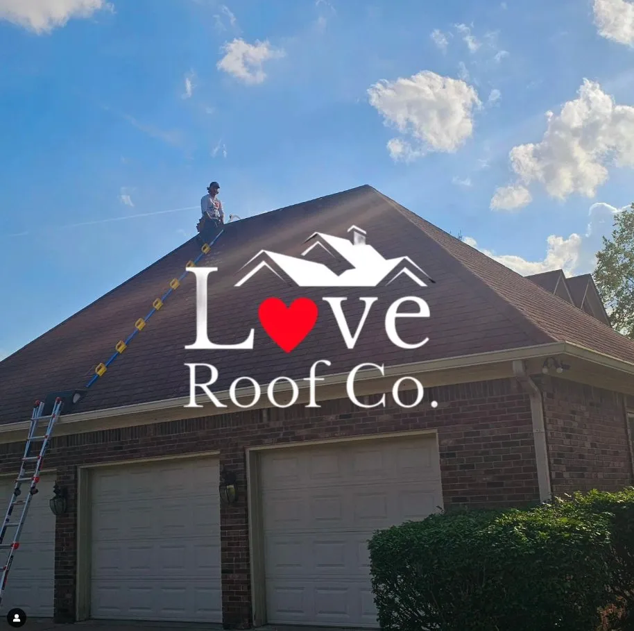 Slide of Love Roof
