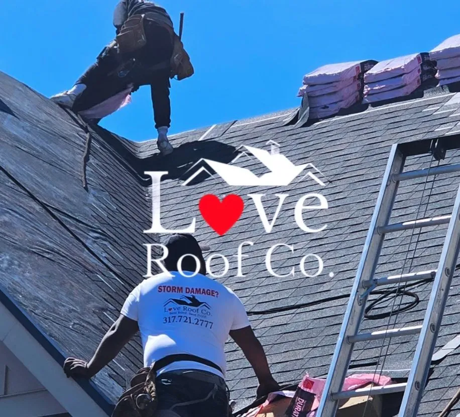 Slide of Love Roof