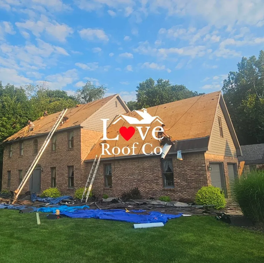 Slide of Love Roof