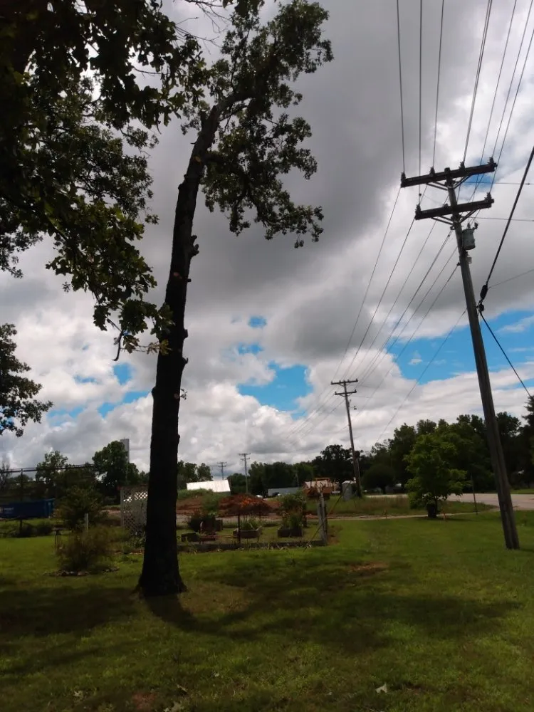 Reliable roof replacement experts serving Taneyville, MO - Lovelace Trees And Roofing