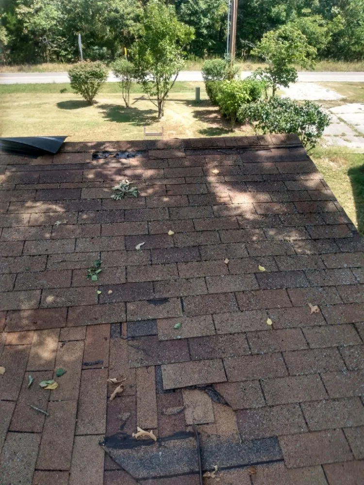 Reliable shingle roofing service in Taneyville, MO - Lovelace Trees And Roofing