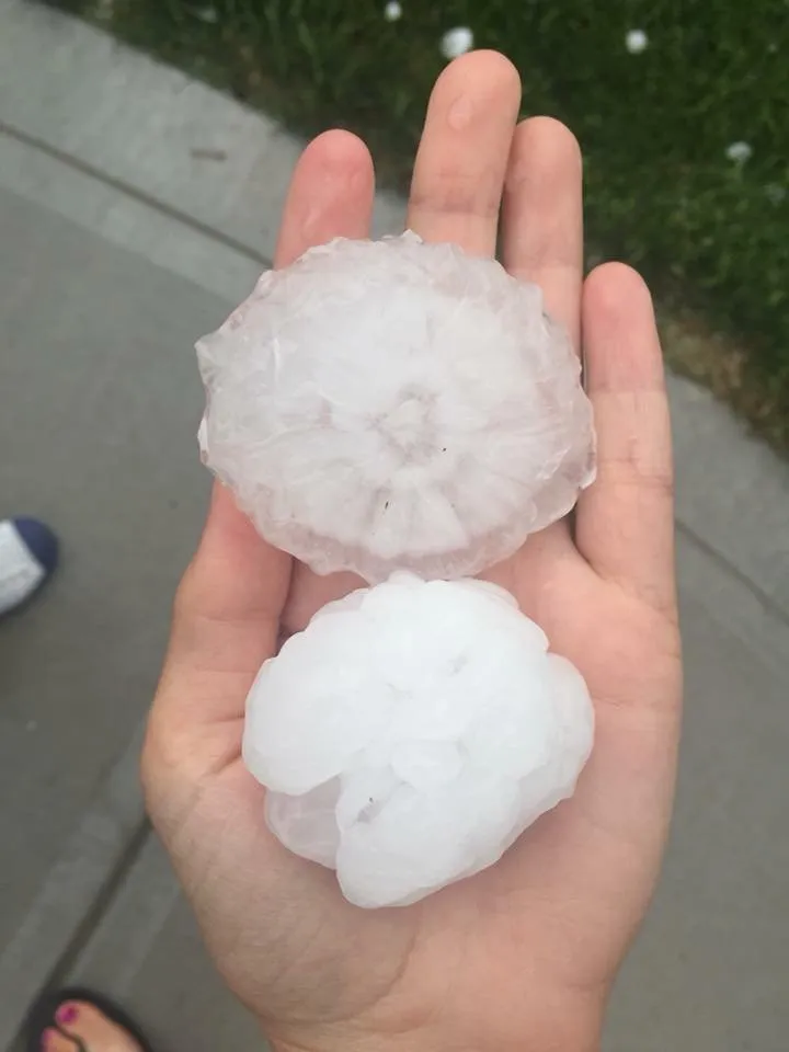 Slide of LoveOurRoof an Xcel Company