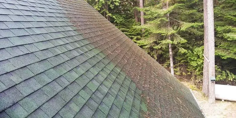 Slide of Love’s Roof Cleaning