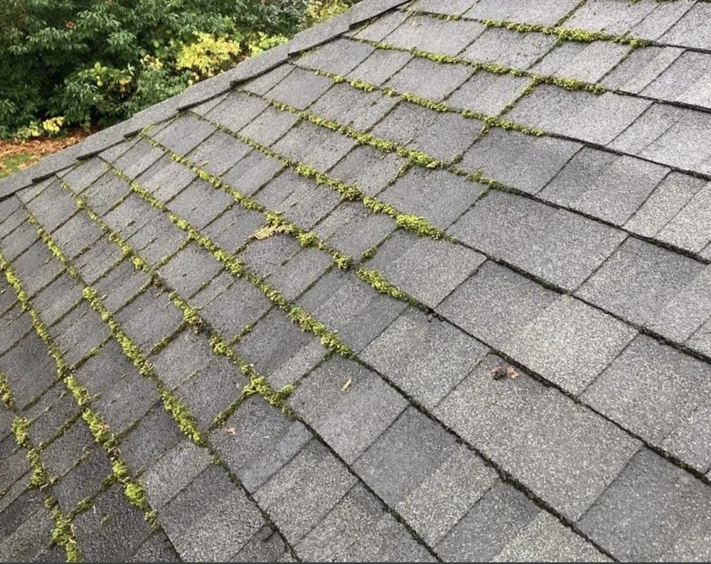Slide of Love’s Roof Cleaning