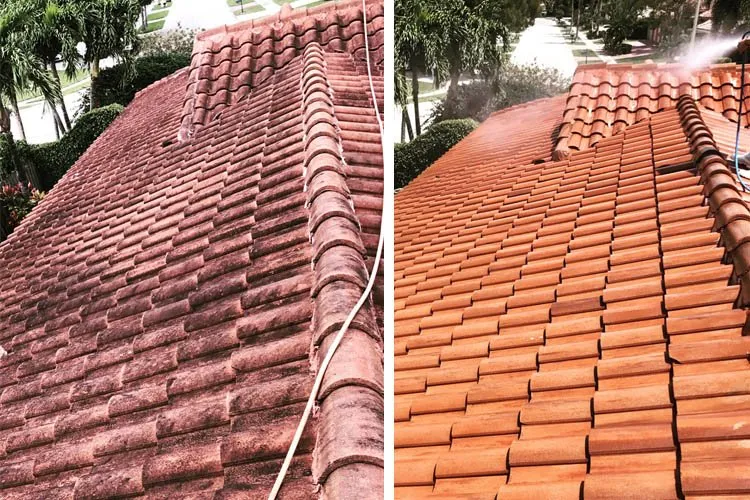 Slide of Love’s Roof Cleaning