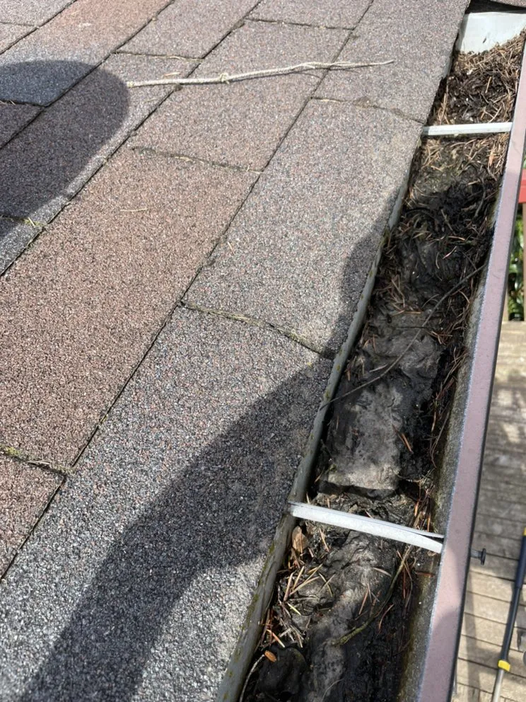 Slide of Love’s Roof Cleaning