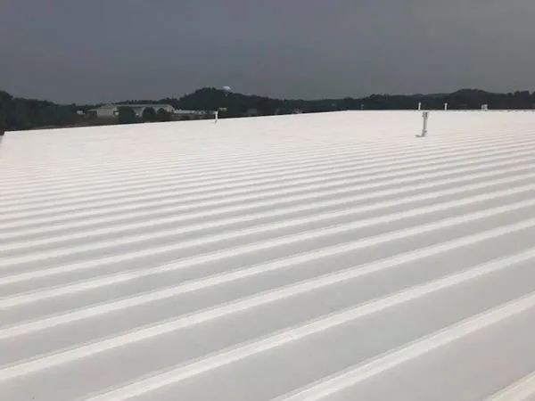 Reliable residential roofing service in Holliday, MO - Loves Roofing And Repair