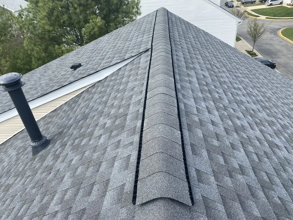 Slide of Low Cost Roofing