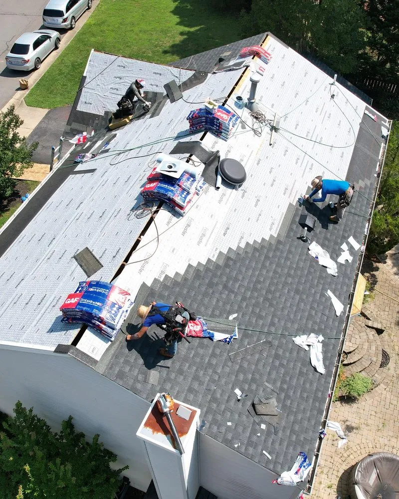Slide of Low Cost Roofing