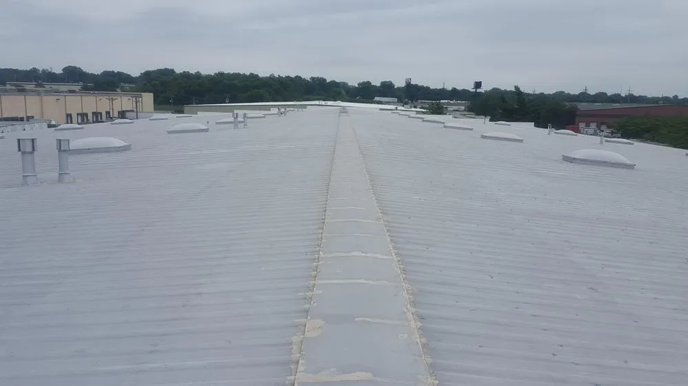 Slide of Low Cost Roofing