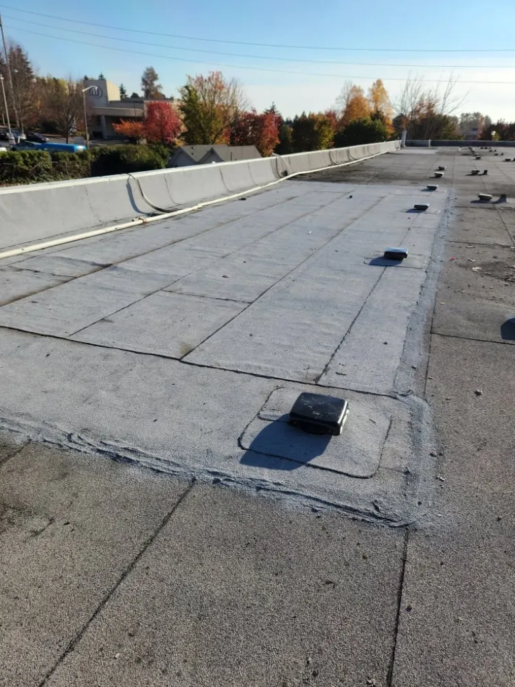 Slide of Low Slope Roofing
