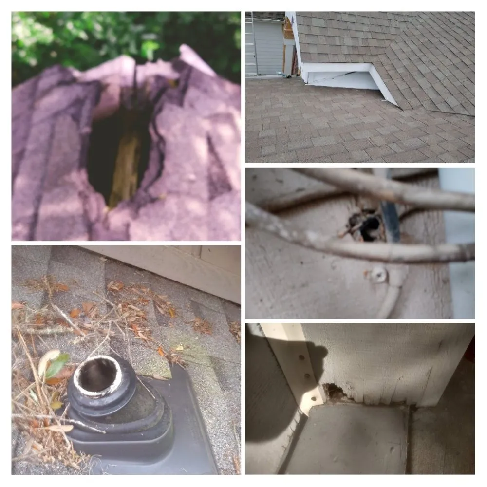 Slide of Lowcountry Roof Repairs