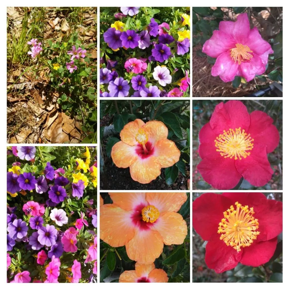 Slide of Lowcountry Roof Repairs