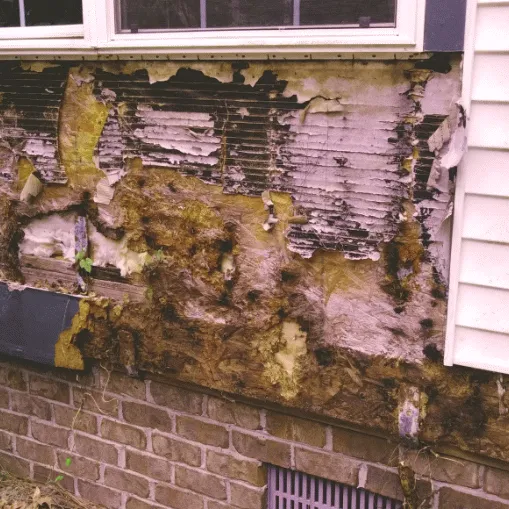 Slide of Lowcountry Roof Repairs