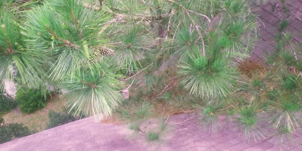 Slide of Lowcountry Roof Repairs