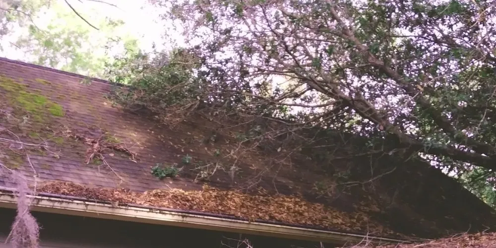 Slide of Lowcountry Roof Repairs