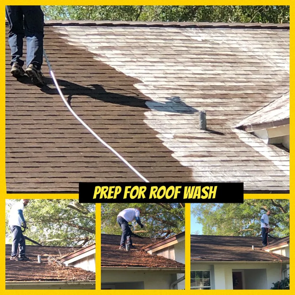 Slide of Loyal Exterior Wash