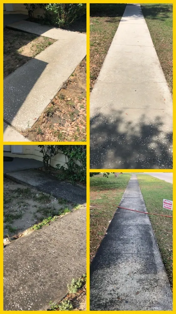 Slide of Loyal Exterior Wash