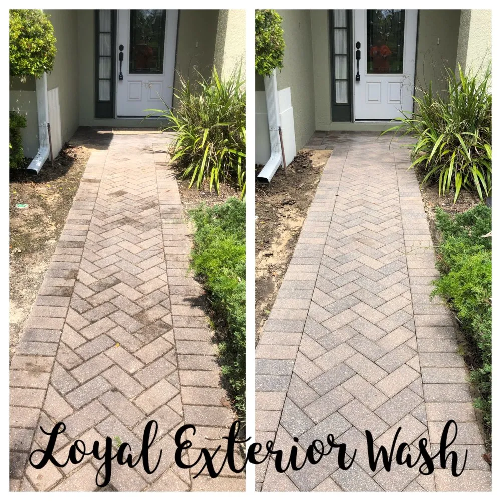 Slide of Loyal Exterior Wash