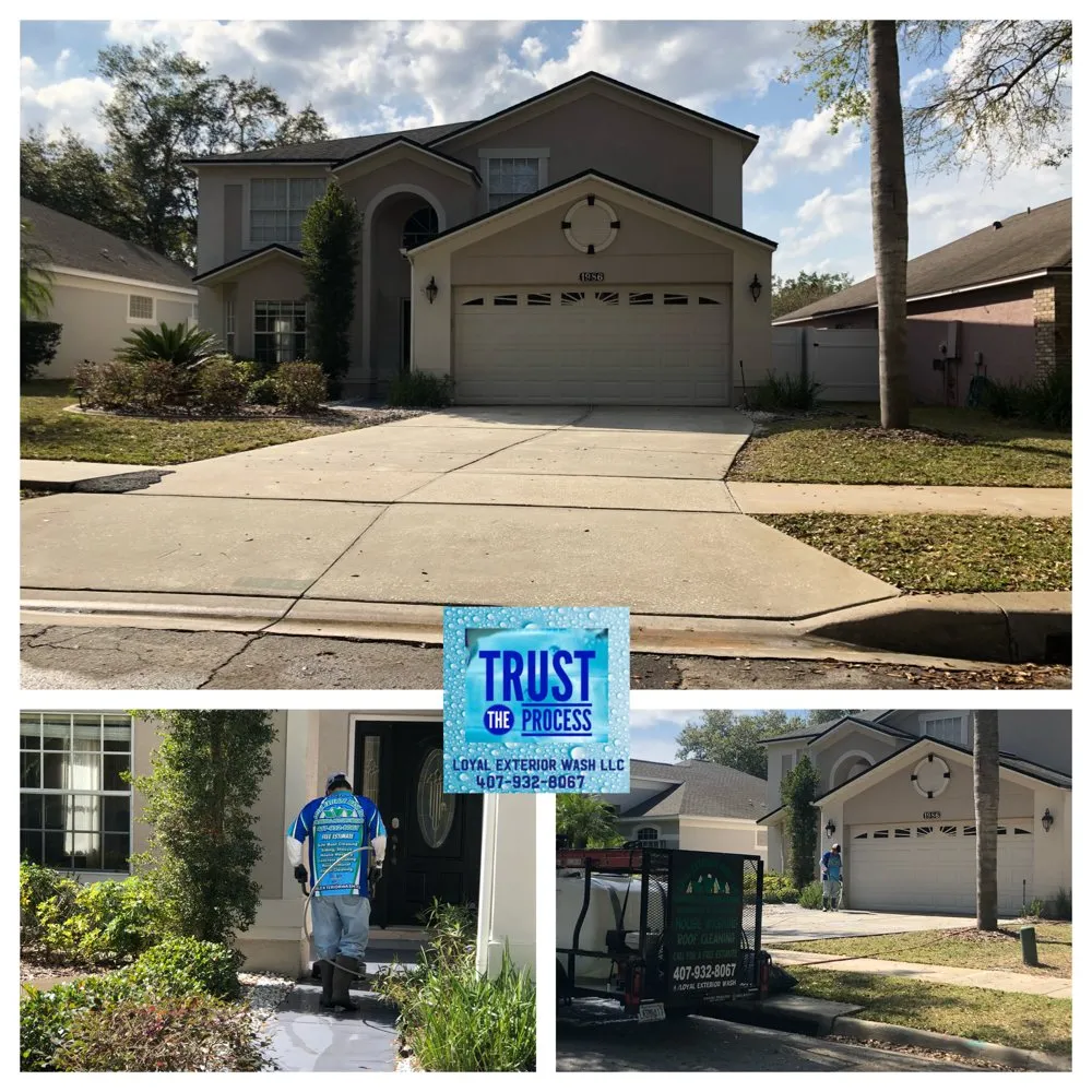 Slide of Loyal Exterior Wash