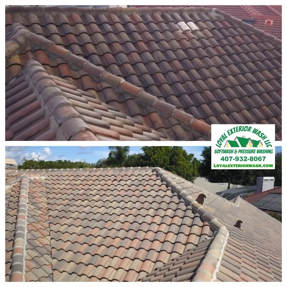 Slide of Loyal Exterior Wash