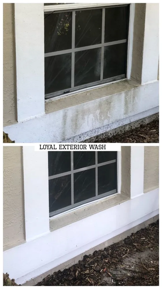 Slide of Loyal Exterior Wash