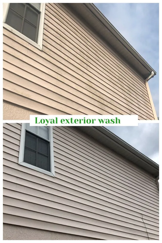Slide of Loyal Exterior Wash