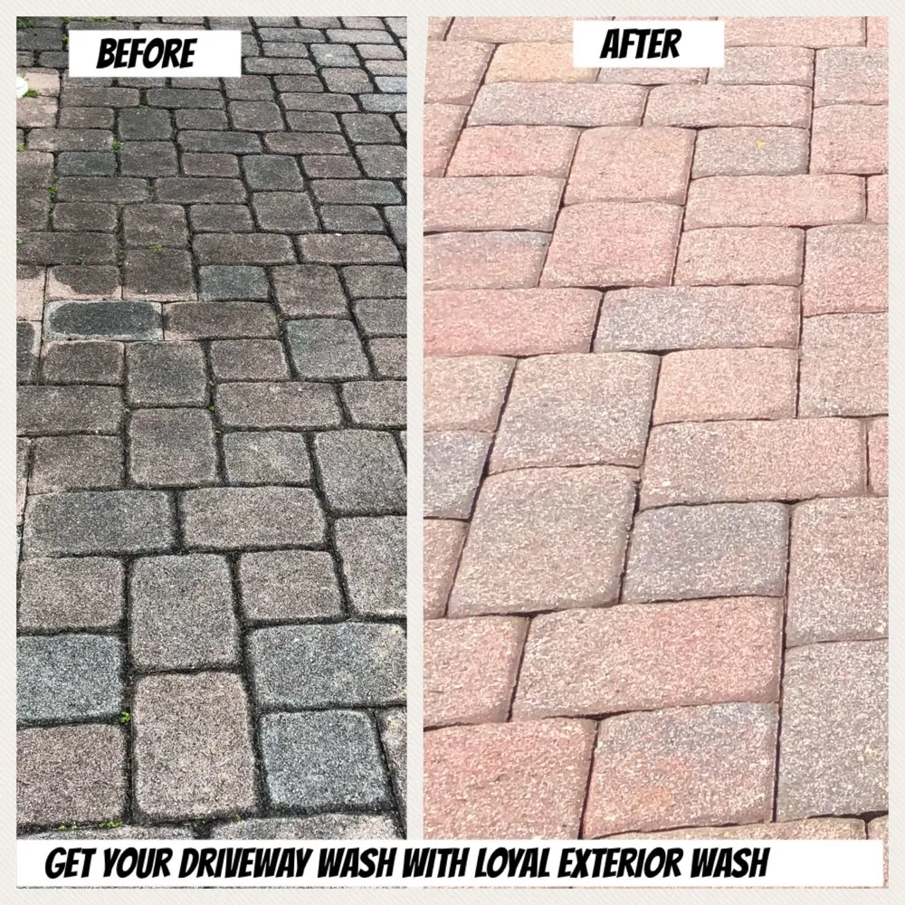 Slide of Loyal Exterior Wash