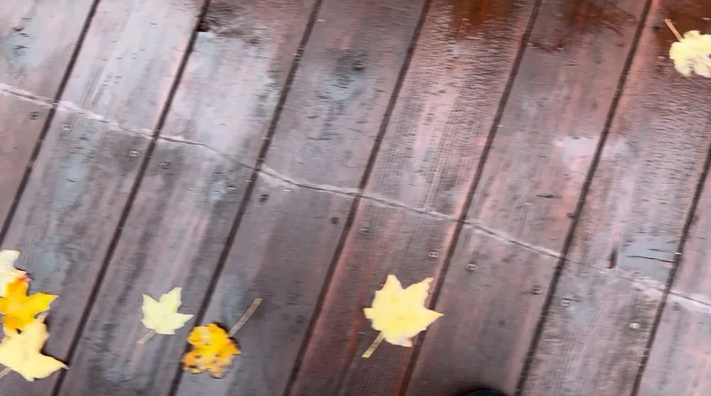 Slide of Loyal Family Renovations