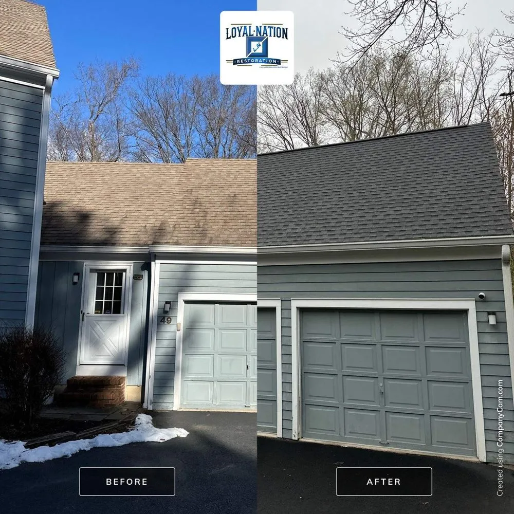 Slide of Loyal Nation Restoration