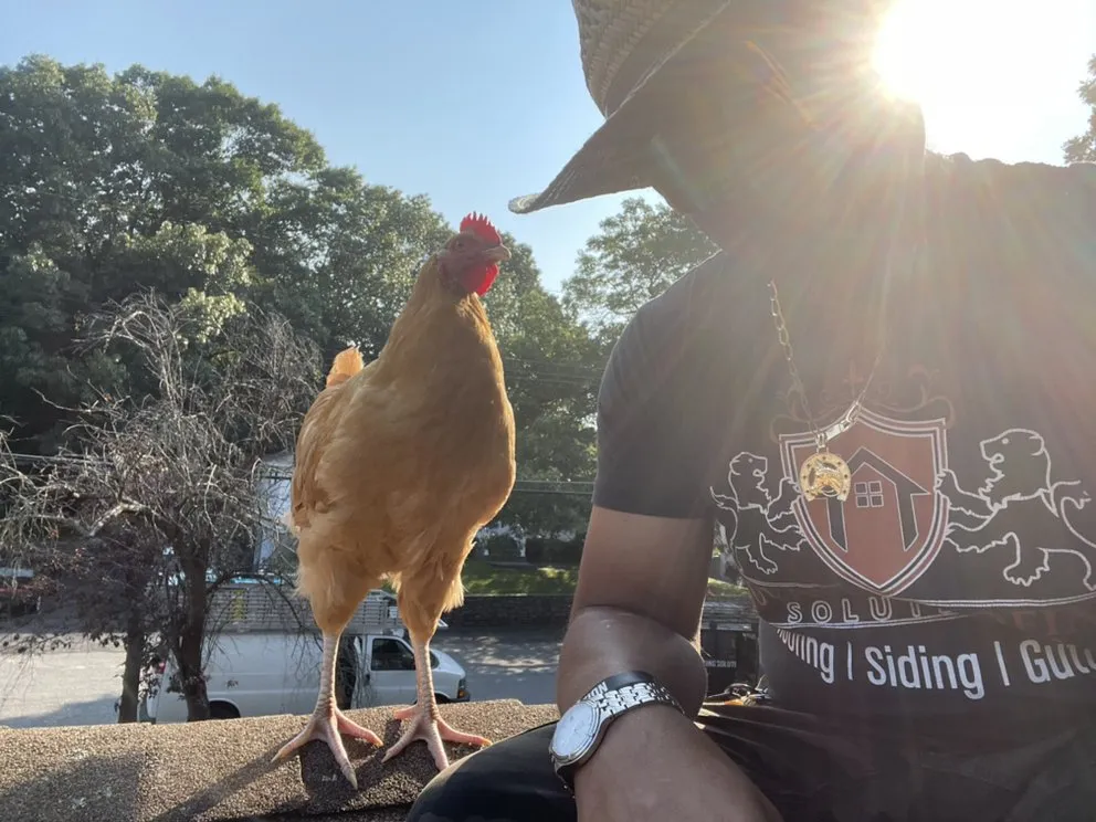 Slide of Loyalty Exterior Solutions