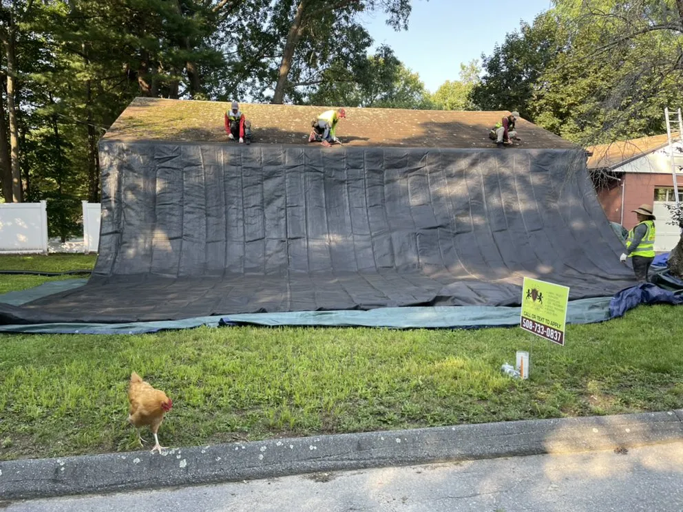 Slide of Loyalty Exterior Solutions