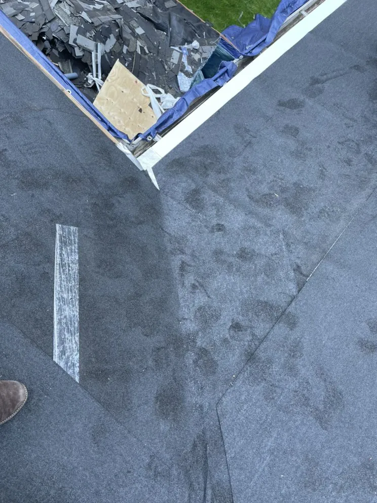 Slide of Loyalty Exterior Solutions