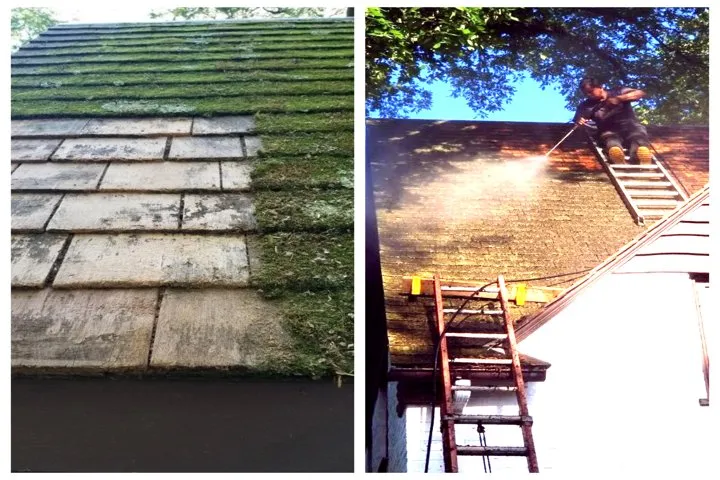 Slide of LR Gregory and Son