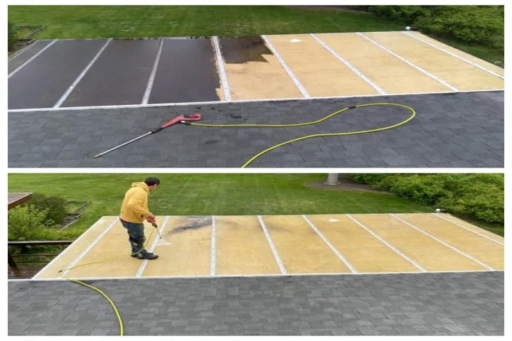 Slide of LR Gregory and Son