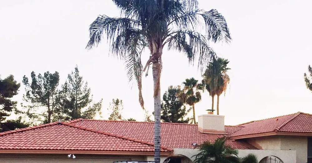 Slide of L&R Roofing Solutions