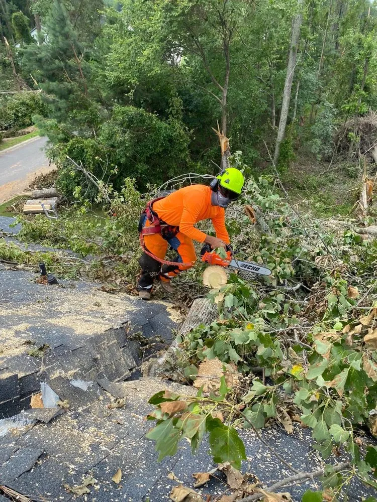 Slide of LRP Roofing