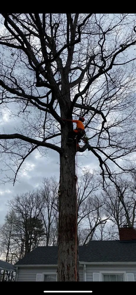 Slide of LRP Roofing