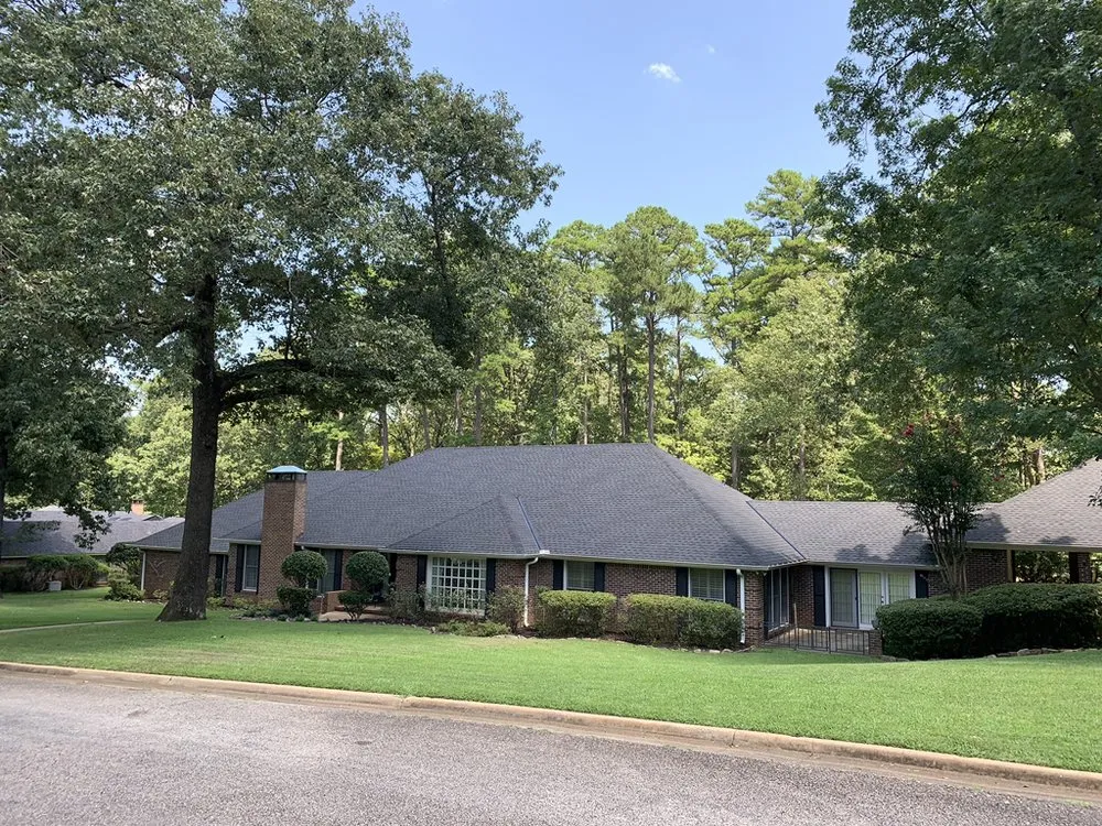 Slide of Lucid Services