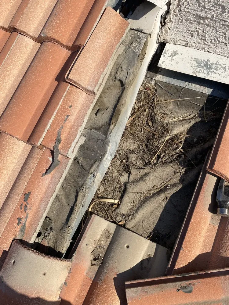 Slide of Lugo Builds