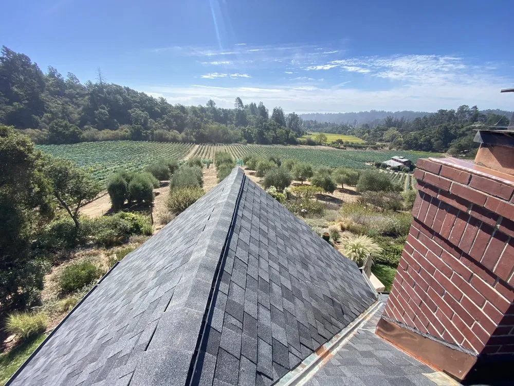 Slide of Luis Roofing