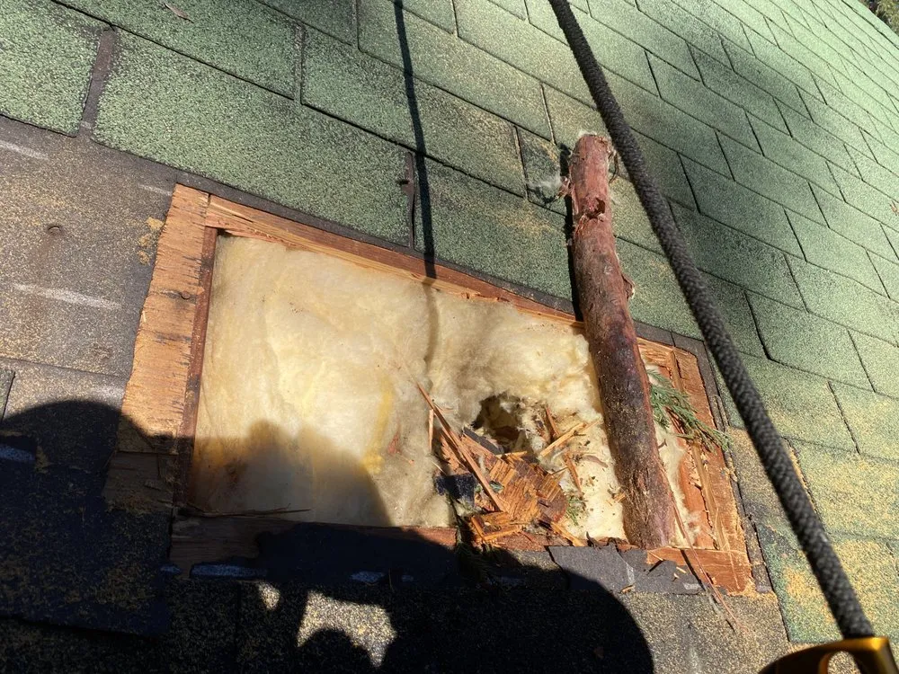 Slide of Luis Roofing