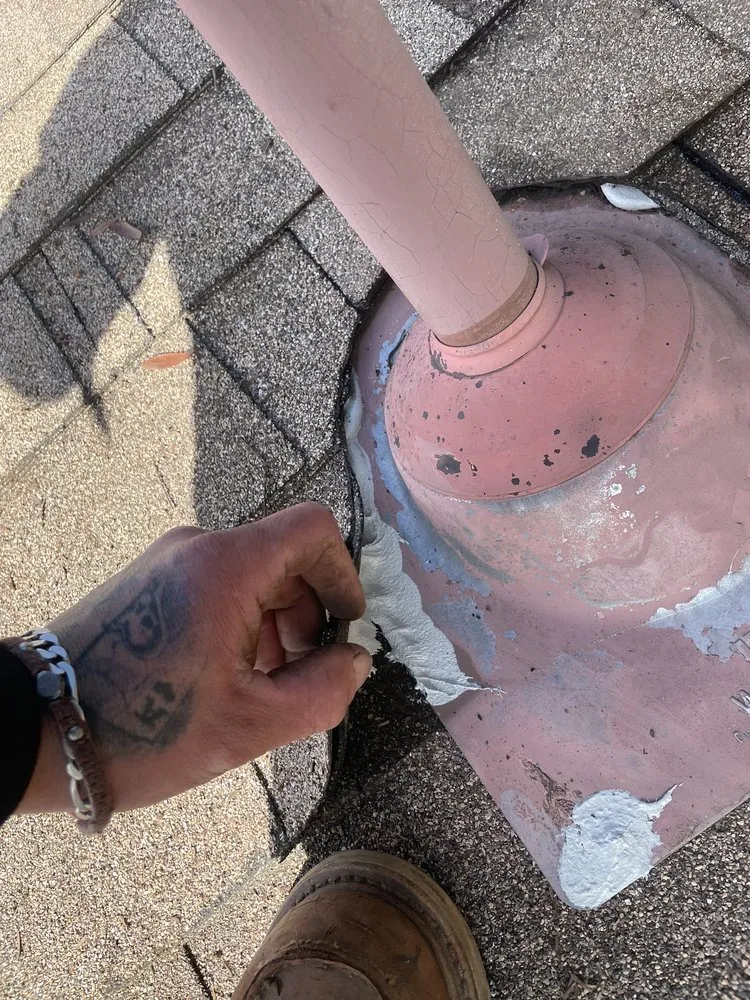 Slide of Lukas Pigeon Removal & Gutter Cleaning