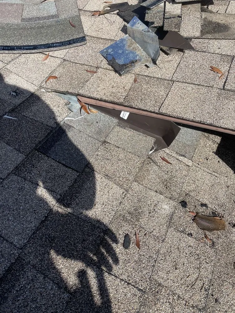 Slide of Lukas Pigeon Removal & Gutter Cleaning